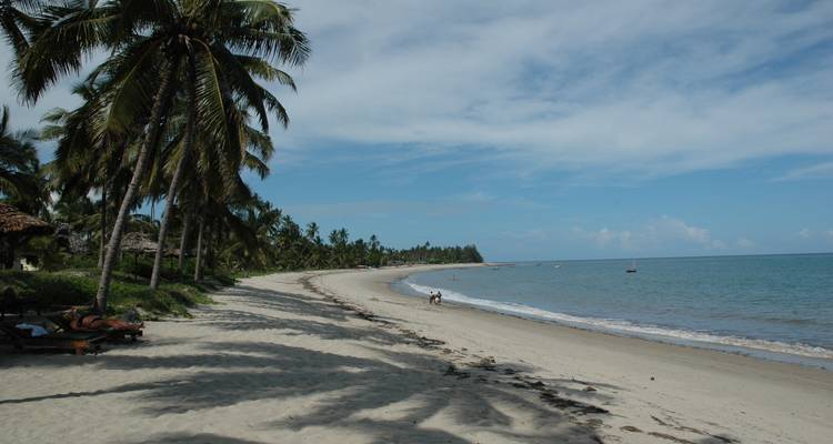 Een schilderachtig zandstrand met palmbomen, een persoon die ontspant op een ligstoel, en een heldere blauwe lucht.