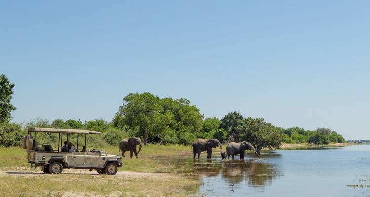 Le Cap, Kruger, le Botswana et les chutes Victoria - Expéditions de luxe de 10 jours - Professional Safari Africa 1