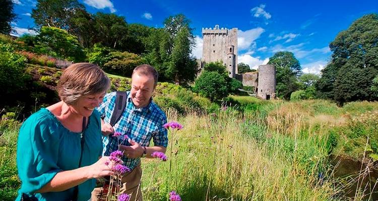Iconic Ireland and Ashford Castle (Winter, 10 Days) - Brendan Vacations 7