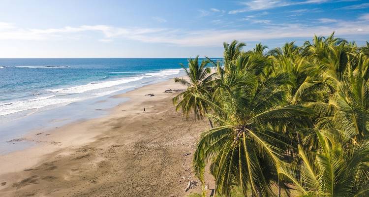 Costa Rica round Tour El Mono - Accept Reisen 1