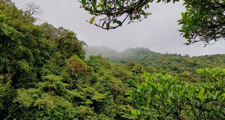 Costa Rica round Tour El Mono - Accept Reisen 4