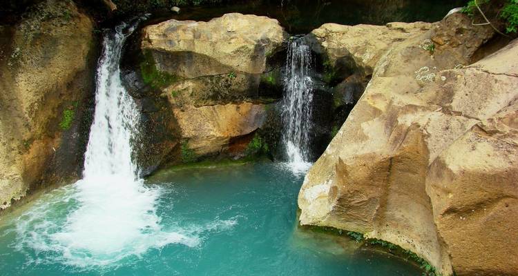 Costa Rica round Tour El Mono - Accept Reisen 6