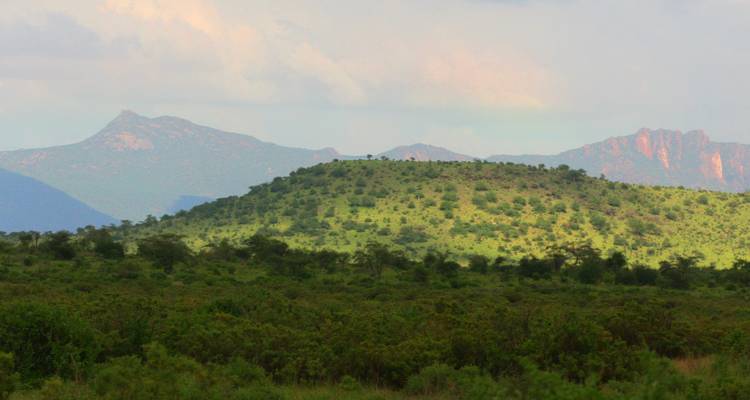 Bergige Landschaft mit Grün.