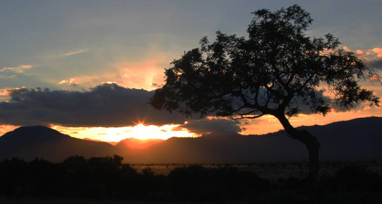 Sun setting over silhouette of a tree and distant mountains.