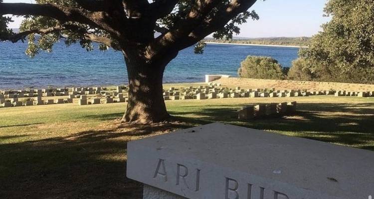 Cementerio junto al mar con un árbol y lápidas.