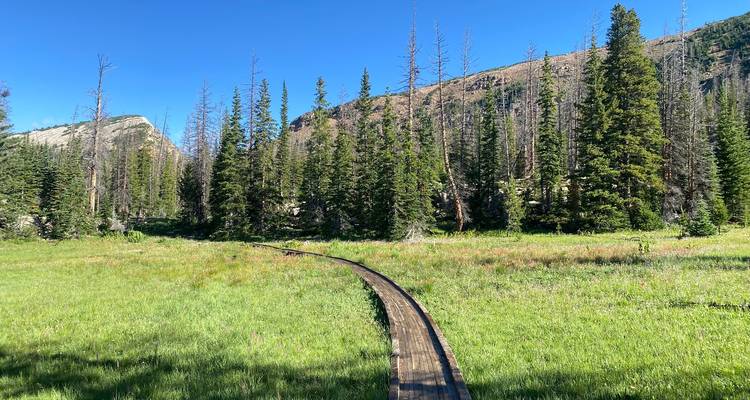 Immersion dans les Rocheuses : Explorez les parcs nationaux de Yellowstone, Grand Teton et des montagnes Rocheuses. - WeVenture 2