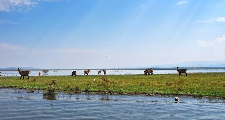 【Kenya】11 Days 10 Nights Luxury Tour Package - Delightful Travel 1