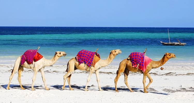 【Kenya】11 Days 10 Nights Luxury Tour Package - Delightful Travel 3