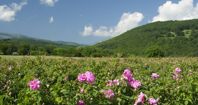 Le charme des Balkans : Explorer les joyaux culturels de la Bulgarie - DÉPARTS GARANTIS - World Synergy Travel 7
