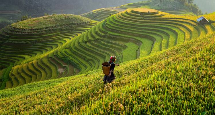 Ciudad de Ho Chi Minh y Hanói en Vietnam 10 días 9 noches - Vietnam Real Tour 3
