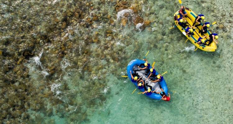 FROM THE ALPS TO THE SEA - Happy stay - PALMA DMC & TO  4
