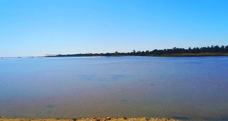 Viaje de 3 días al Oasis de Siwa y al desierto occidental desde el Cairo - Sun Pyramid Tours 8
