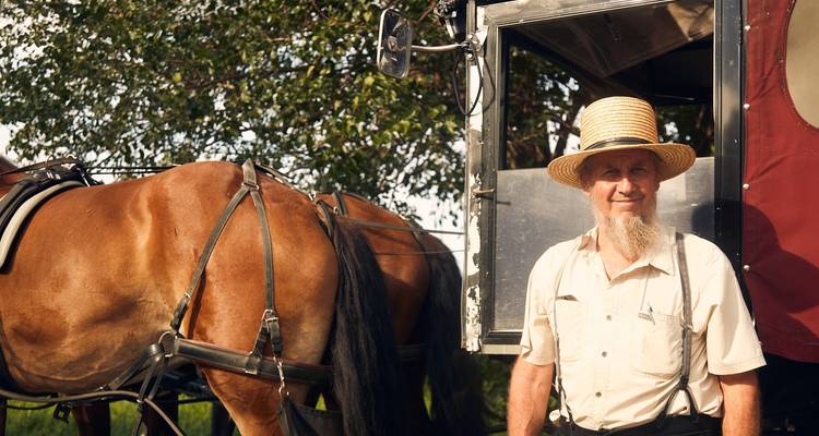 Philadelphie, le pays des Amish et Washington DC - 2 jours - Amadeo 9