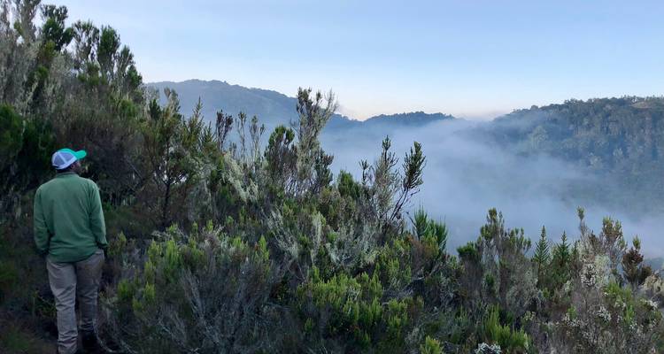 Kilimanjaro Lemosho - OneSeed Expeditions 2