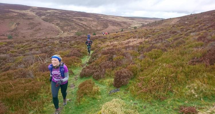 People hiking on a trail through heather-covered hills.