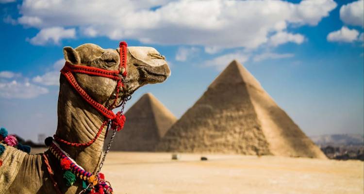 El Majestuoso Crucero de los Faraones - Nilvison Egypt Tours  2