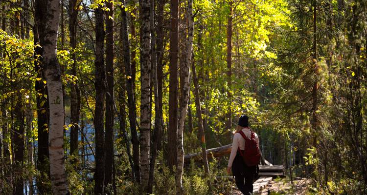Finland Road Trip: To the Midnight Sun in the Glass Villa - journaway 8