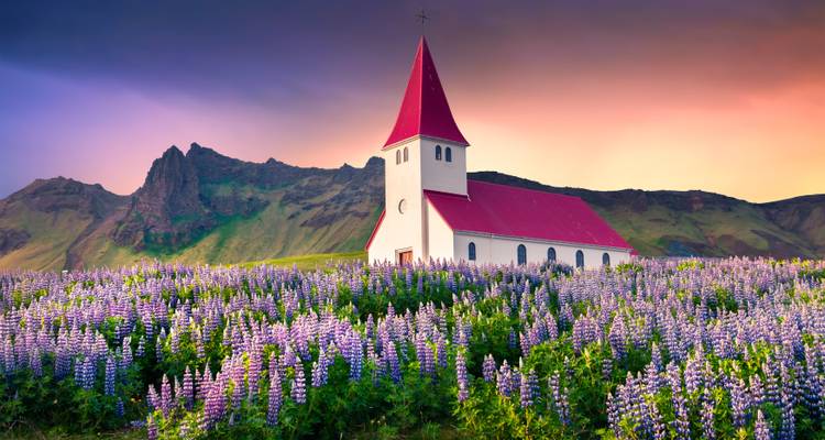 Une église dans un champ de fleurs avec des montagnes en arrière-plan.