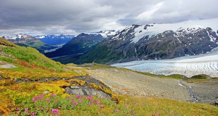 Faune et flore d'Alaska - Exodus Adventure Travels 3