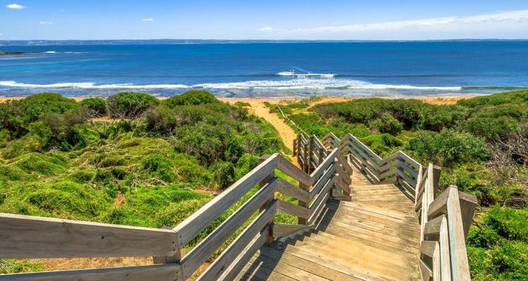Lo mejor de Melbourne con Great Ocean Road y Phillip Island - Australia and New Zealand Travel Company 3
