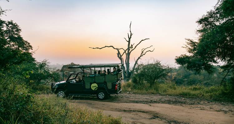 Reunión del Cabo, Safari y Cataratas 35 a 45 (Sólo disponible para viajeros anteriores de Contiki, Reunión) - Contiki 5