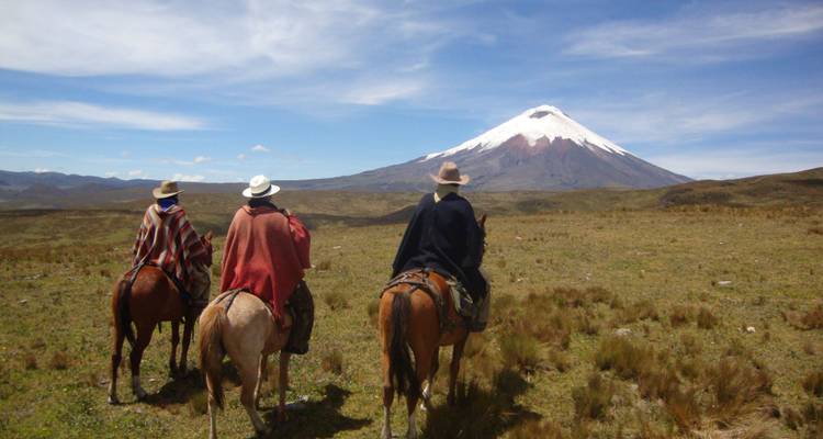 Ecuador Andino E Isla Galápagos - EUROLATINO Tour Operators 3