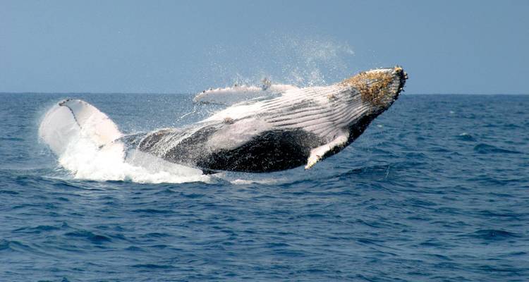Ecuador Andino E Isla Galápagos - EUROLATINO Tour Operators 5