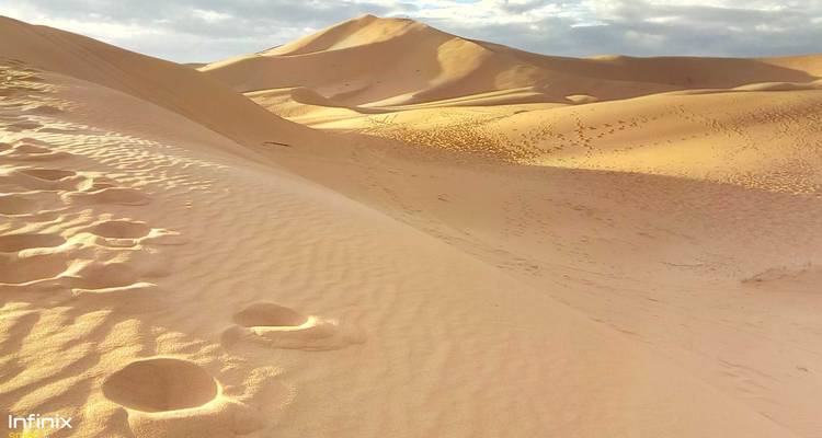 Dunes de sable du désert avec un ciel dégagé.