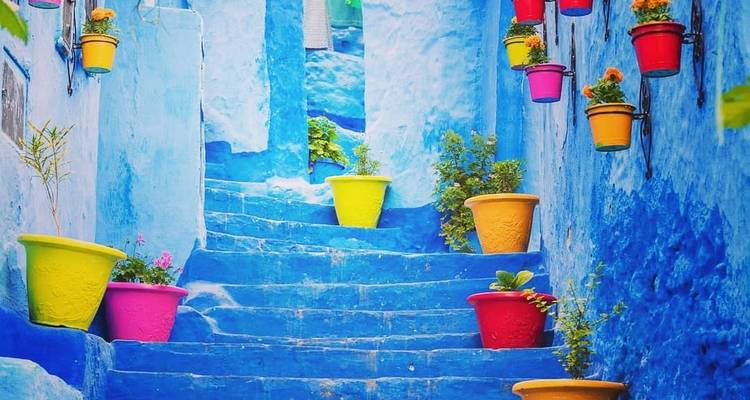 Marches bleues avec des plantes en pot colorées.