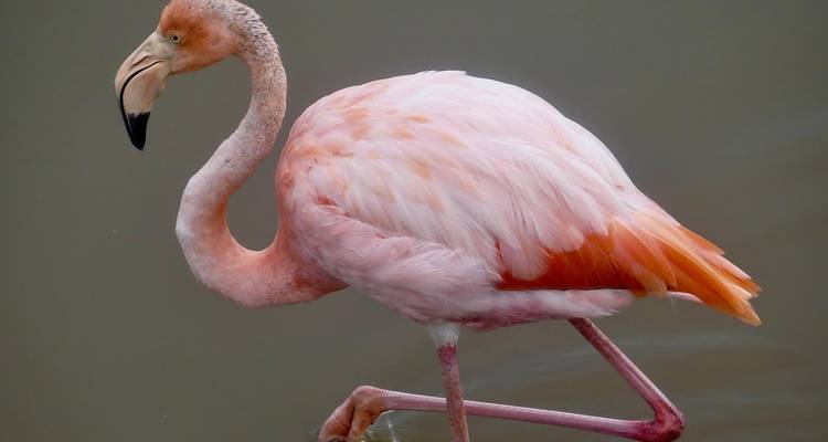 8 jours de découverte des hauts lieux de Quito et des îles Galápagos + billet d'avion (groupe privé) - Cami Adventures 4