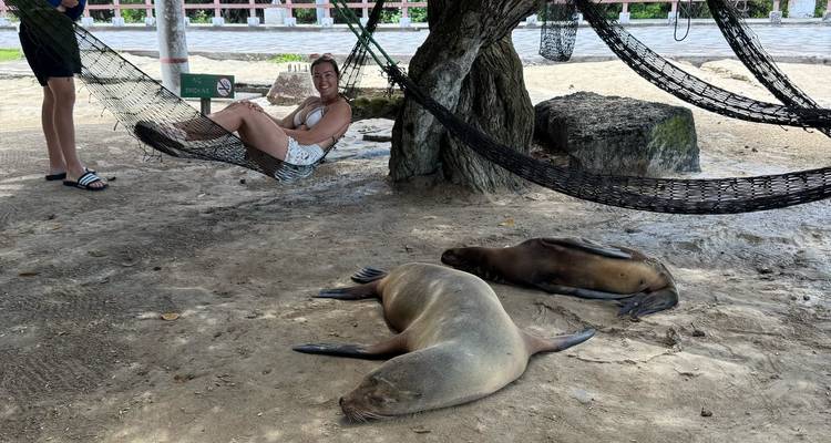 Mujer relajándose en una hamaca mientras las focas duermen en la arena cerca de ella