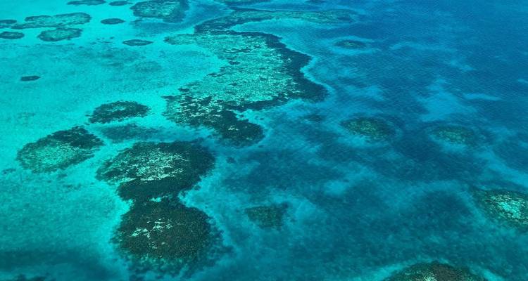 Vol au-dessus du Grand Trou Bleu depuis Ambergris Caye - ROEming Belize 1