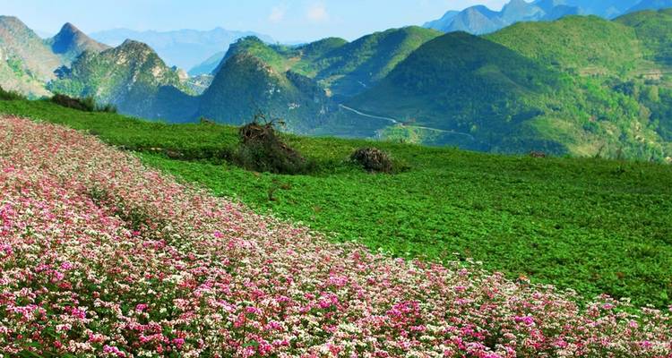 Exploring Mystery Throughout Vietnam Tour 14 Days/13Nights - Bee Gng International Joint Stock Company 9