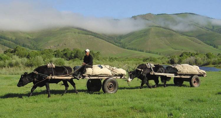 Exploration de la Mongolie (Nadaam) - Explore! 8