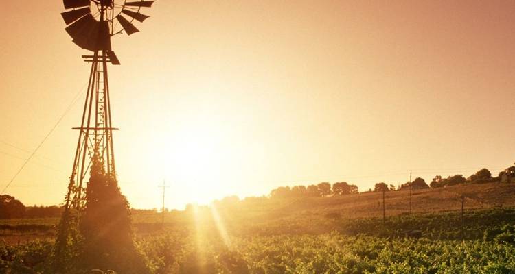 Lo mejor de Adelaida con el valle de Barossa y la isla Canguro - Australia and New Zealand Travel Company 1