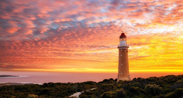 Lo mejor de Adelaida con el valle de Barossa y la isla Canguro - Australia and New Zealand Travel Company 6