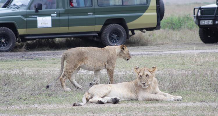 5 días de experiencia de rastreo de rinocerontes Samburu en Kenia. - Primate World Safaris (U) Ltd 6