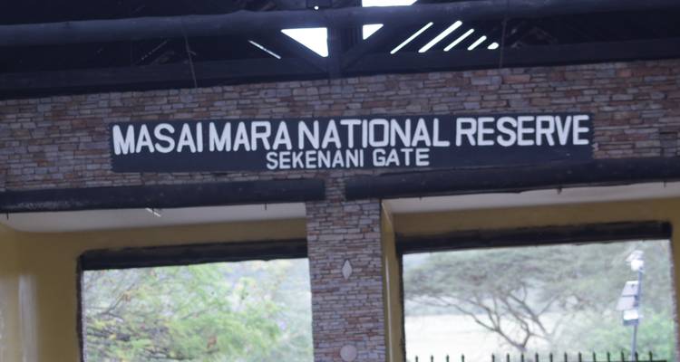 Safari de 5 jours à la découverte de la faune et de la flore du Kenya - Primate World Safaris (U) Ltd 4