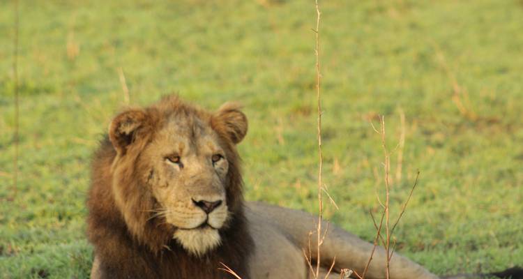 4 days Samburu Express Safari in Kenya - Primate World Safaris (U) Ltd 2