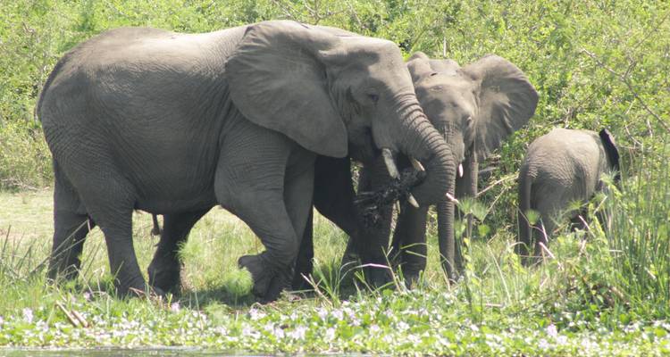 4 days Samburu Express Safari in Kenya - Primate World Safaris (U) Ltd 3