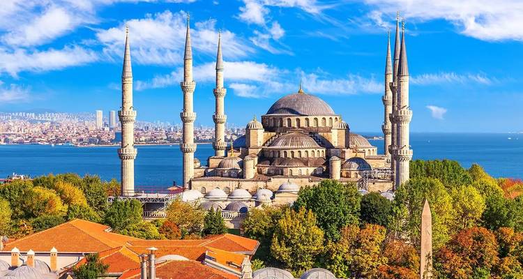 Iconic mosque with tall minarets overlooking the Bosphorus.