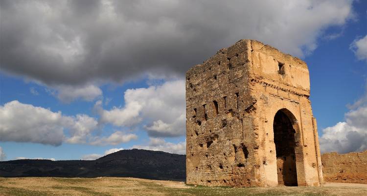 Ruina antigua con un arco solitario en un paisaje con cielo nublado.
