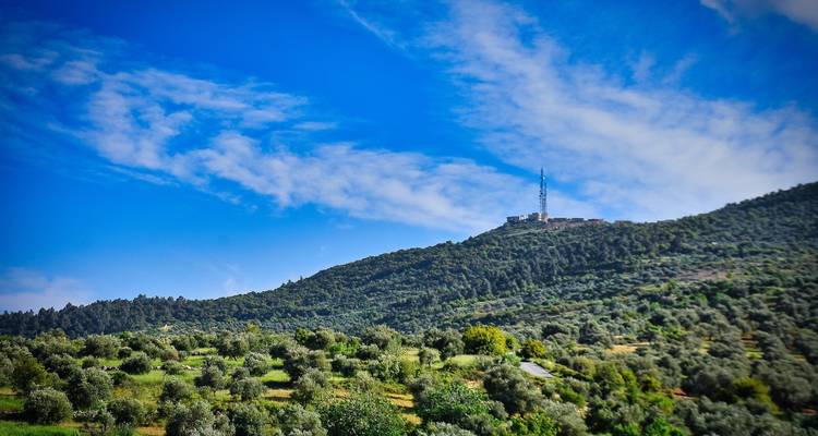 7 Days Classic Jordan. - Remaz Tours GmbH 3