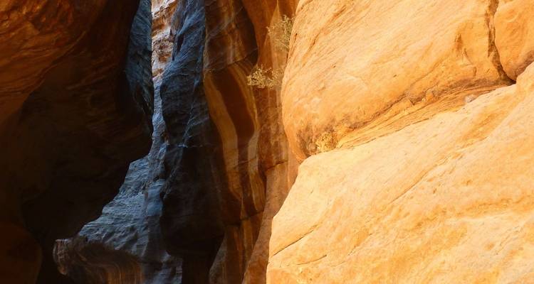 8 Days in Jordan. - Remaz Tours GmbH 4