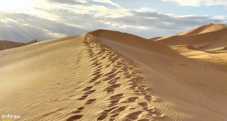 Zandduinen met voetafdrukken die over de kam leiden.