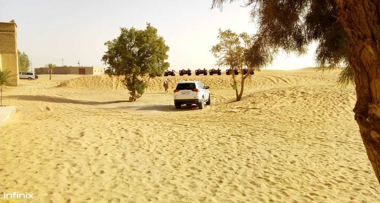 Woestijngebied met bomen en een geparkeerd voertuig.
