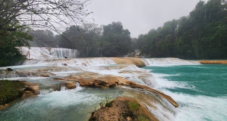 Private 8-Day Immersive Cultural Tour in Chiapas with Day Trips - World Awaits Cultural Tours LLC 2