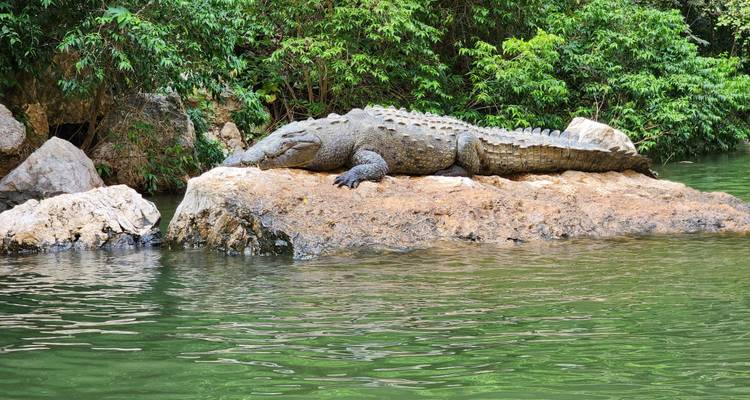 Private 8-Day Immersive Cultural Tour in Chiapas with Day Trips - World Awaits Cultural Tours LLC 10