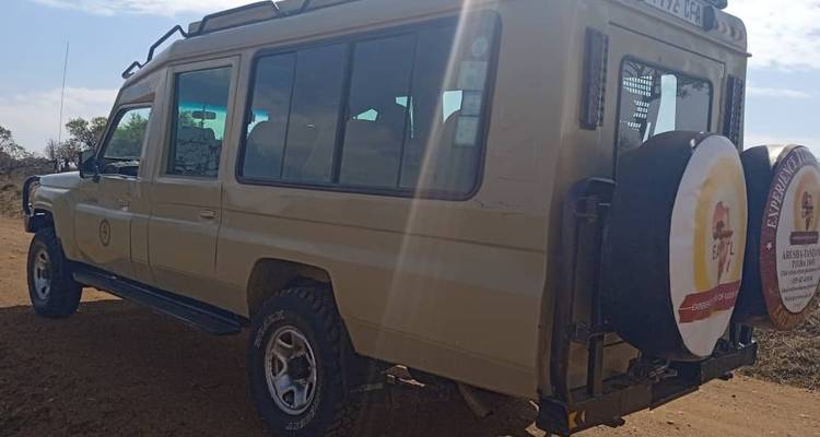 1 jour Parc national de Nyerere - Eatl Tour and Safari Group  3