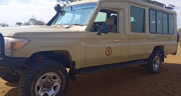 1 jour Parc national de Nyerere - Eatl Tour and Safari Group  4